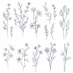 Wildflower Clippings for wedding invitation decoration, certificates, greeting cards