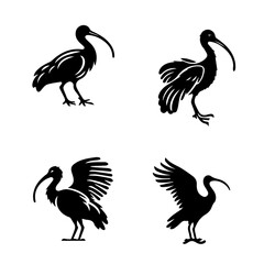 ibis, icon, vector illustration, white background