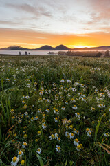 Wschód słońca w górach, na polach kwiatów - Rudawy Janowickie, Krzyżna Góra i Sokolik © krzys ser