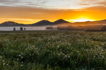 Wschód słońca w górach, na polach kwiatów - Rudawy Janowickie, Krzyżna Góra i Sokolik © krzys ser