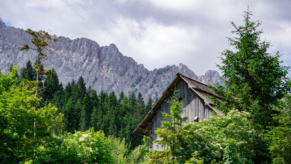 Cabin in the woods with the mountains in the background under an overcast sky