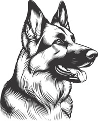 German shepherd dog in different poses on a white background objects silhouette illustration.