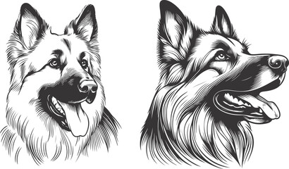 German shepherd dog in different poses on a white background objects silhouette illustration.