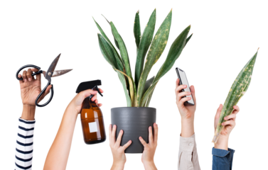 Png plant lover's hand mockup for online shop