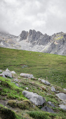grassy hillside with cloud-covered peaks in the background. Ideal for themes of adventure, nature, and mountain exploration