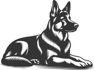 German shepherd dog in different poses on a white background objects silhouette illustration.