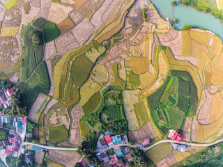 Aerial wide angle view of landscape with rice field at Phong Nam village in Trung Khanh, Cao Bang province,Northern Vietnam