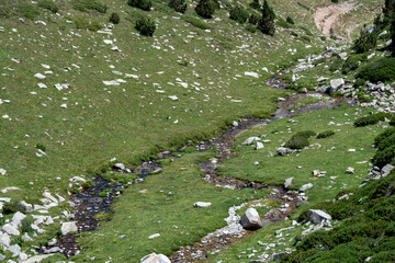 estación de esquí de vallter 2000 en verano sin gente