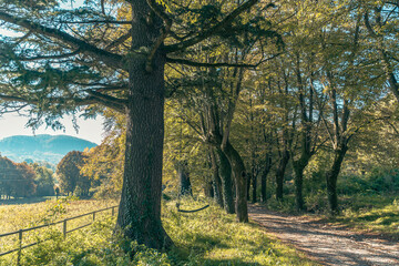 camino de entrada a una casa en el campo