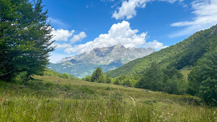Obraz premium peaceful mountain meadow with lush green grass and trees. In the background, towering rocky peaks rise under a bright blue sky with fluffy clouds. The scene feels serene and natural