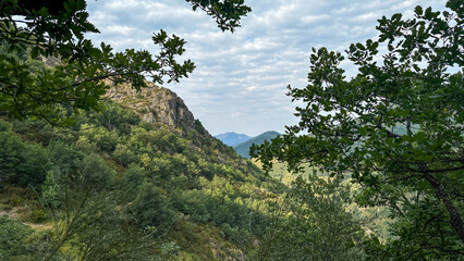 lush, green valley framed by tree branches, with distant mountains visible in the background under a partly cloudy sky. Perfect for stock photography focused on serene nature landscapes
