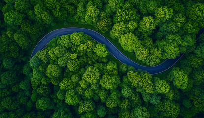 Aerial View of Curved Road Cutting through a Dense Green Forest
