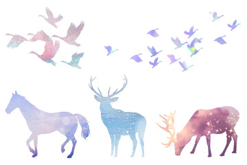 Aesthetic animal png silhouette sticker, wildlife illustration set on transparent background