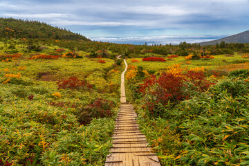 紅葉の一切経山登山道