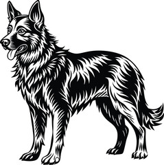 German shepherd dog in different poses on a white background objects silhouette illustration.