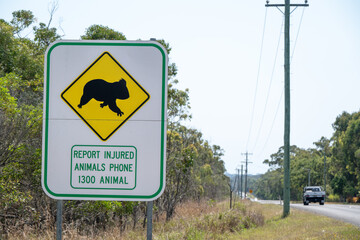 Wildlife rescue road sign, Australia koala, injured animals protection warning hazard, carer service, community conservation  © Cynthia