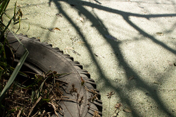Old tire in dirty pond water	