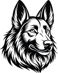 Fototapeta premium German shepherd dog in different poses on a white background objects silhouette illustration.