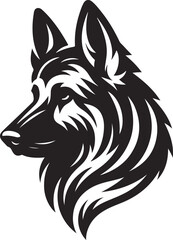 German shepherd dog in different poses on a white 