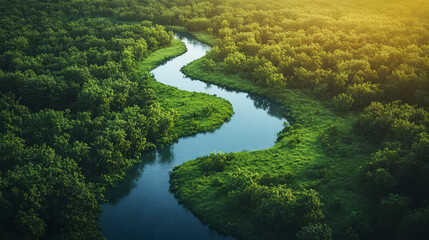 Obraz premium Winding river through lush forest at sunset