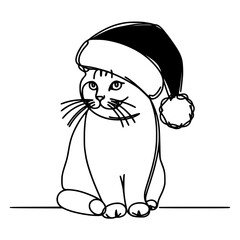 Cat wearing santa claus hat, christmas day