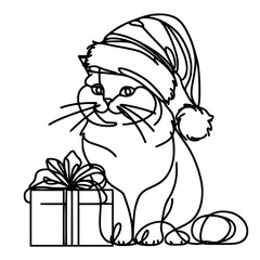 Cat with a gift, Cat wearing santa claus hat, christmas day