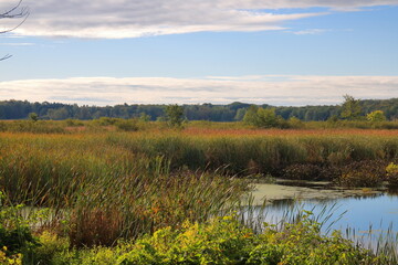 Sunrise Over The Marsh In Early Autumn