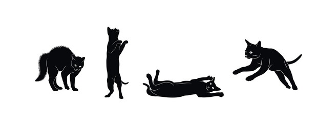 cat illustration design vector white background