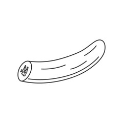 Peeled banana icon without peel. Hand drawn tropical outline cutted fruit in doodle style
