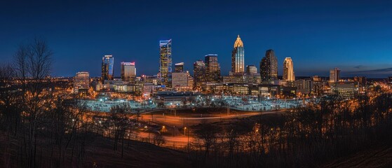 Obraz premium Nighttime View of Charlotte Skyline with Trees in Foreground