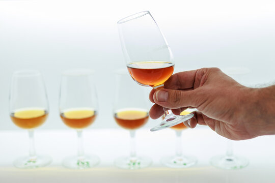 Cata de vinos de Jerez 