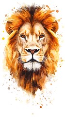 Fototapeta premium An illustration of a majestic lion with its golden mane, on a white background