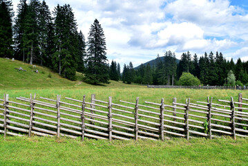 J&auml;gerzaun als Begrenzung (Teichalm, Steiermark)