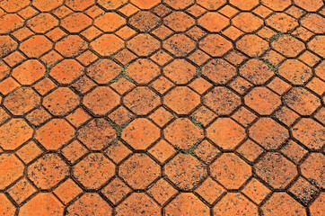 Naklejka premium Patterned paving with red bricks in Ribeirao Preto, Sao Paulo, Brazil