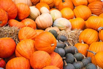 A beautiful array of pumpkins on straw with a farm backdrop.