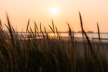 Obraz premium pampa au coucher de soleil