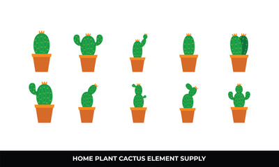 Home plant cactus icon set illustration