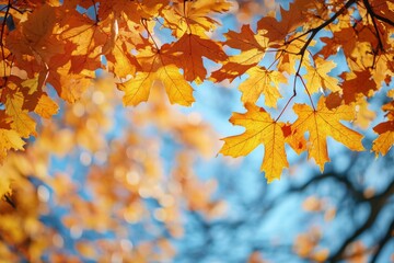 Fallen Leaves Season Background