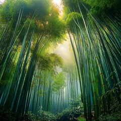 bamboo in the wild jungles