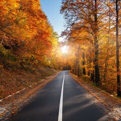 autumn landscape with yellow leaves along an empty asphalt road