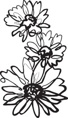 chamomile illustration. freehand flower drawing. marker drawing. botanical art. postcard/ card design.