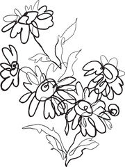 One line drawing of Chamomile flower. Hand drawn vector botanical illustration. Daisy flower engraved sketch. Black and white wildflower. Realistic daisy freehand drawing. Isolated monochrome flower.