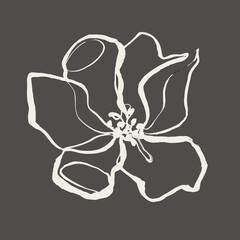 Jasmine flower painted with brush. Black and white botanical illustration. Chinese painting. White flower on black background.