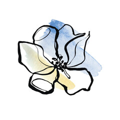 Vector hand drawn botanical art. Jasmine with watercolor strokes. Brush painted flower. Minimalist flower for print. Jasmine flower painted with brush. Black and white botanical illustration. 