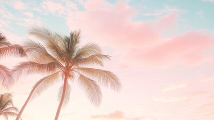 Palm Trees Against a Pink Sunset Sky
