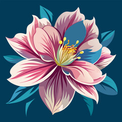 pink lotus flower lotus flower illustration