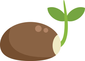 Small green sprout with two leaves is growing from a seed