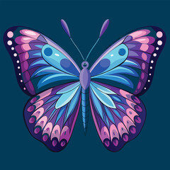 butterfly illustration