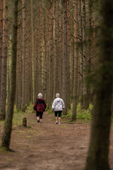 Fototapeta premium Two elderly women walking on a path between tall trees.