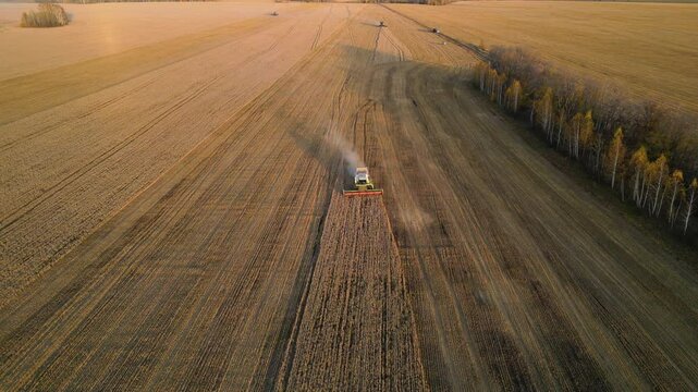 Combine harvester gathers crops in a golden field during sunset